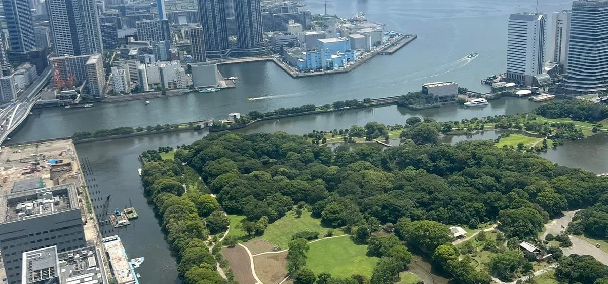 Caretta Shiodome Free Observation Deck, How to Reach the 46th Floor, Hours and the View