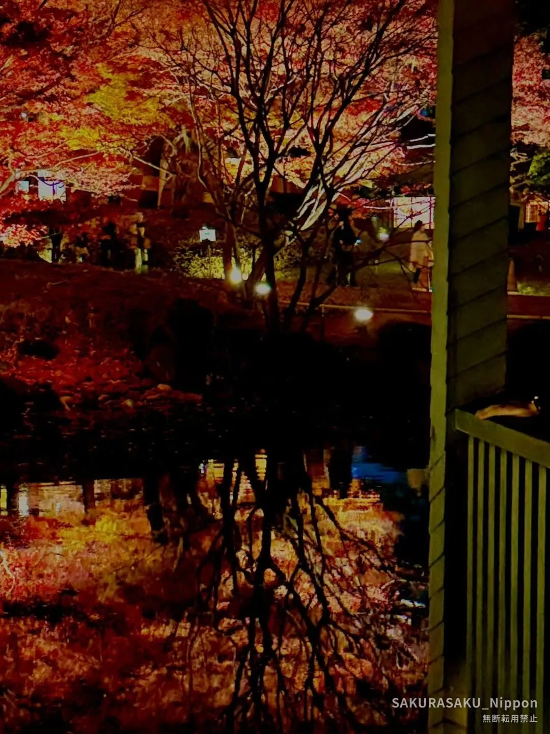Otaguro Park during the 2025 light-up: lit-up maples reflected in the pond