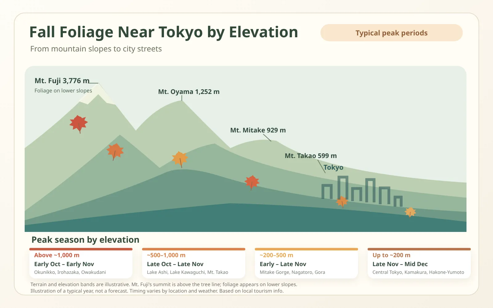 An illustration of mountains near Tokyo, showing that leaves peak first above 1,000 metres and last in the city streets