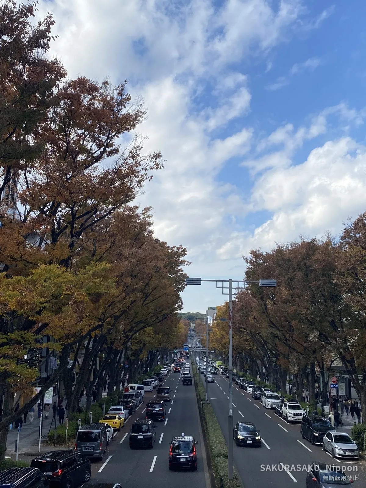 Omotesando from a footbridge on 16 November 2025, the zelkova trees already russet and gold